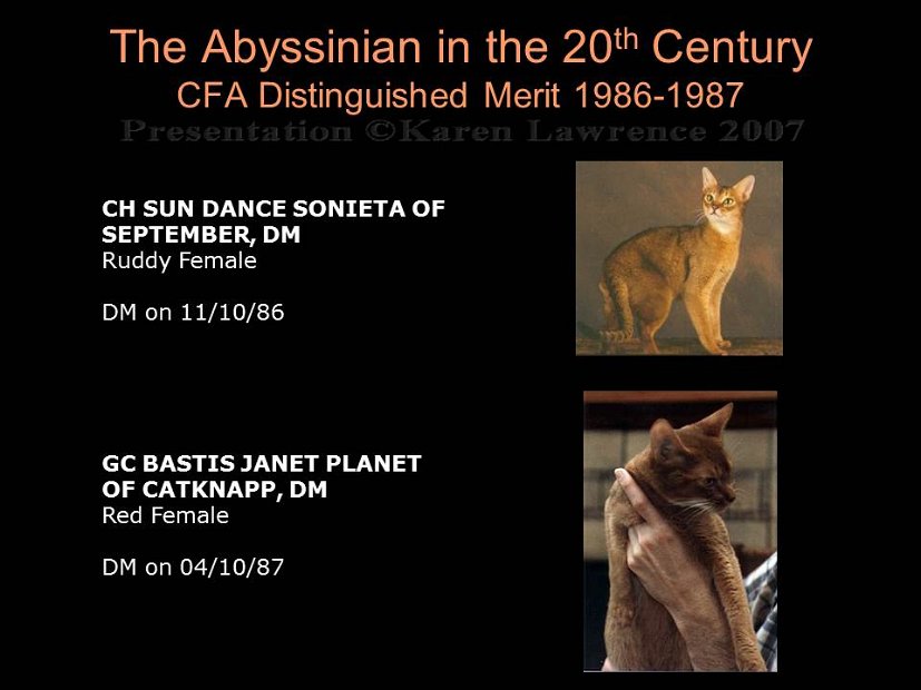 Slide320