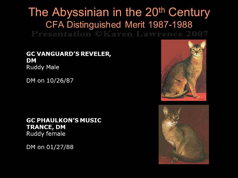 Slide326