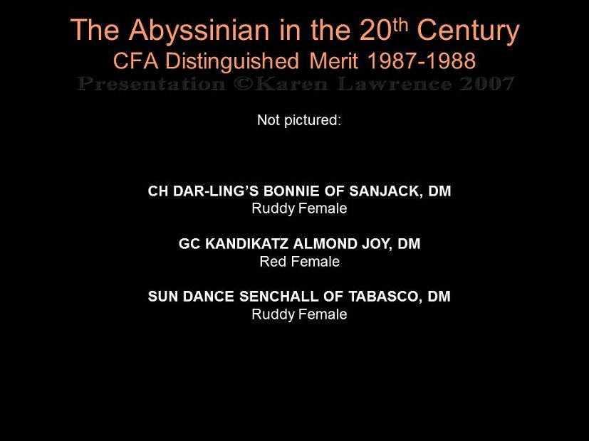 Slide328
