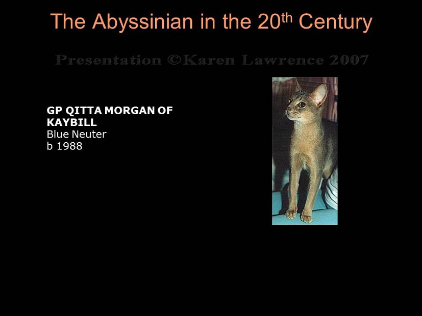 Slide330