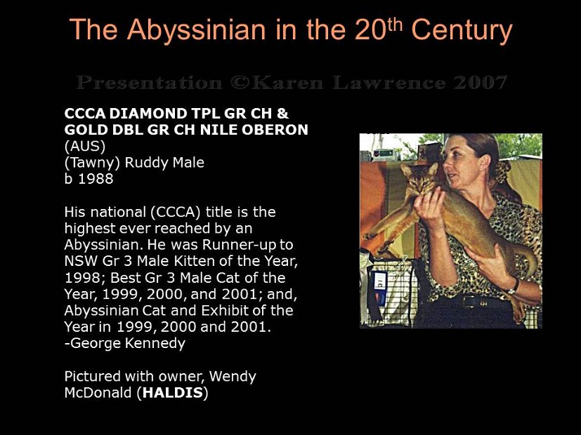 Slide331