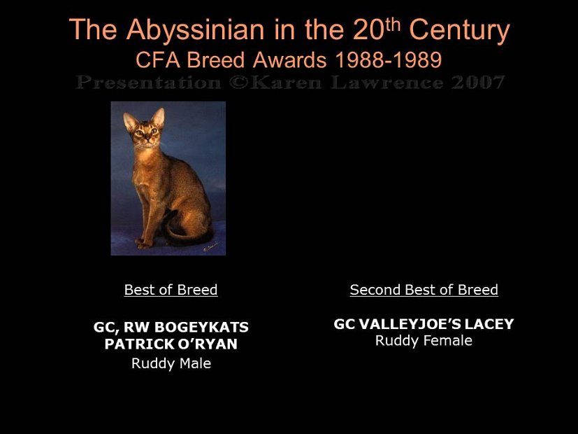Slide332