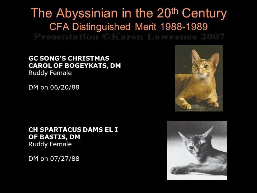 Slide334