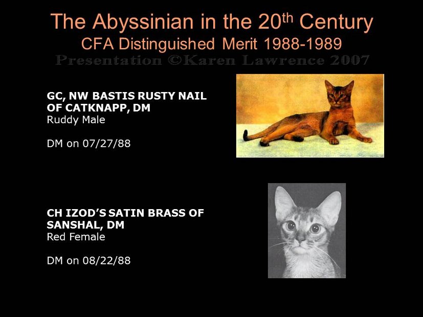 Slide335