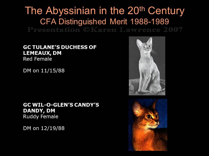 Slide336