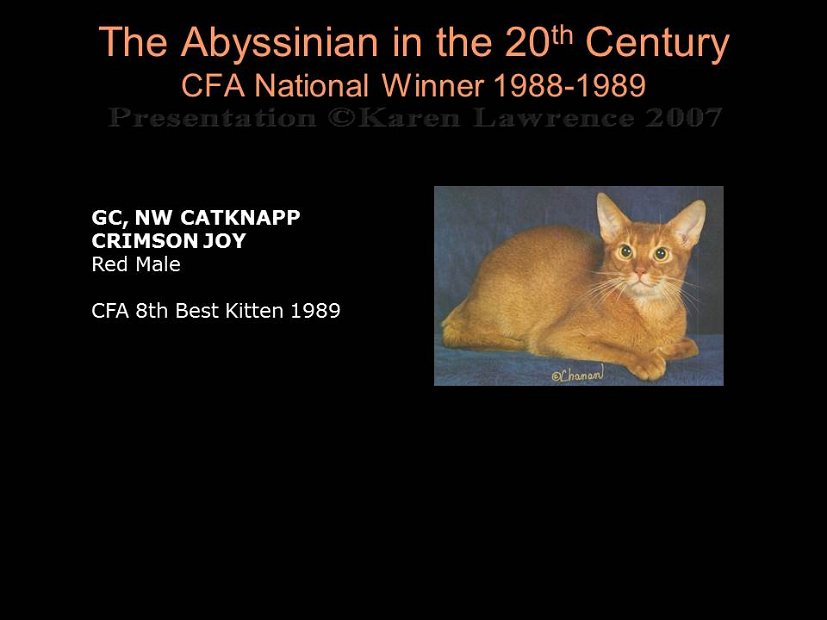 Slide338