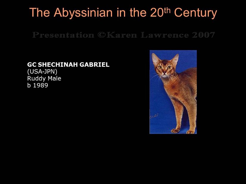 Slide342