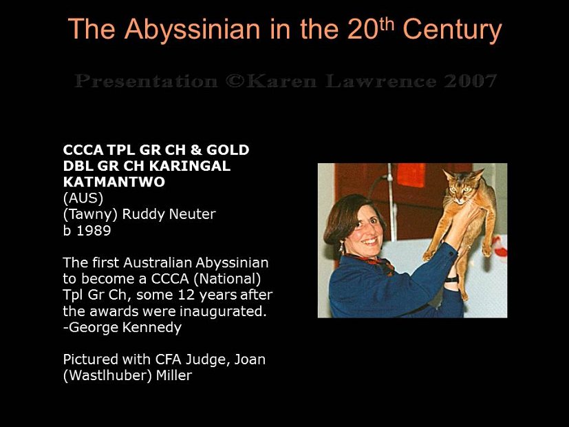 Slide343