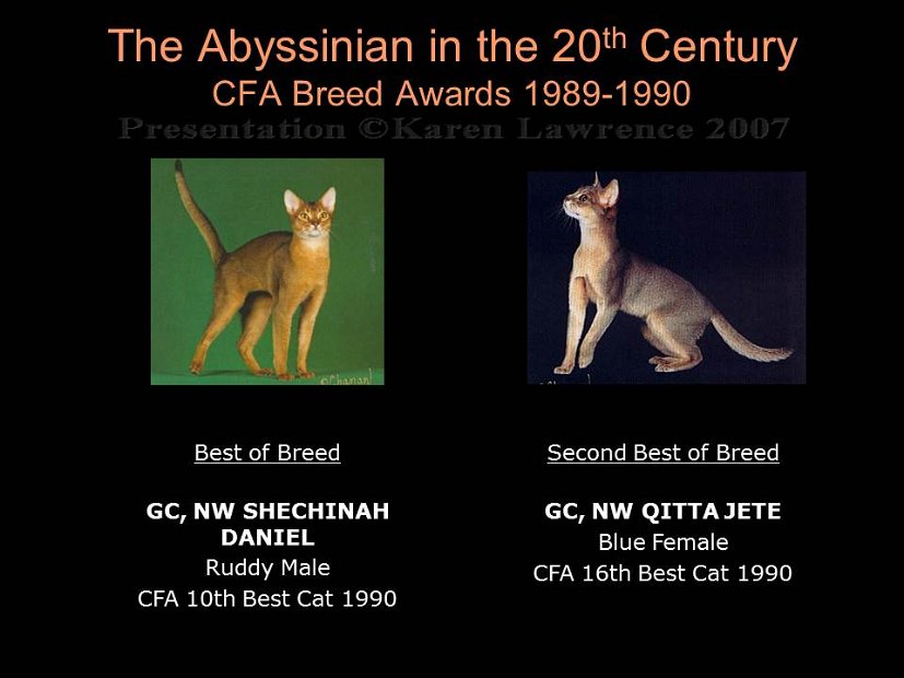 Slide344