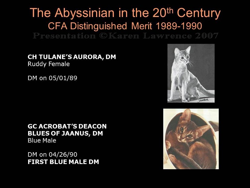 Slide345