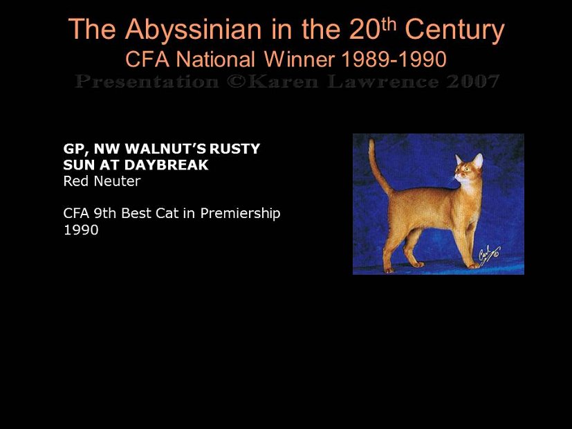 Slide348