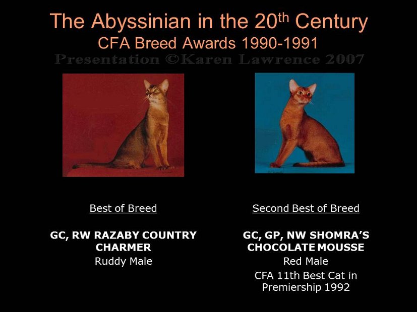 Slide352