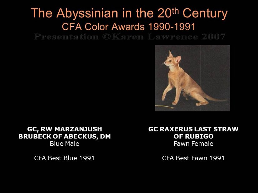 Slide357