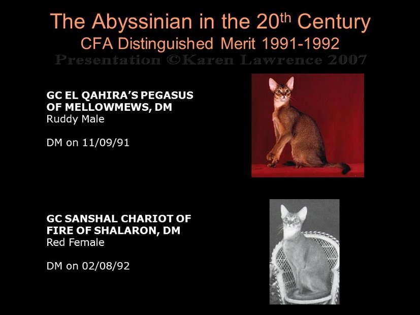 Slide361