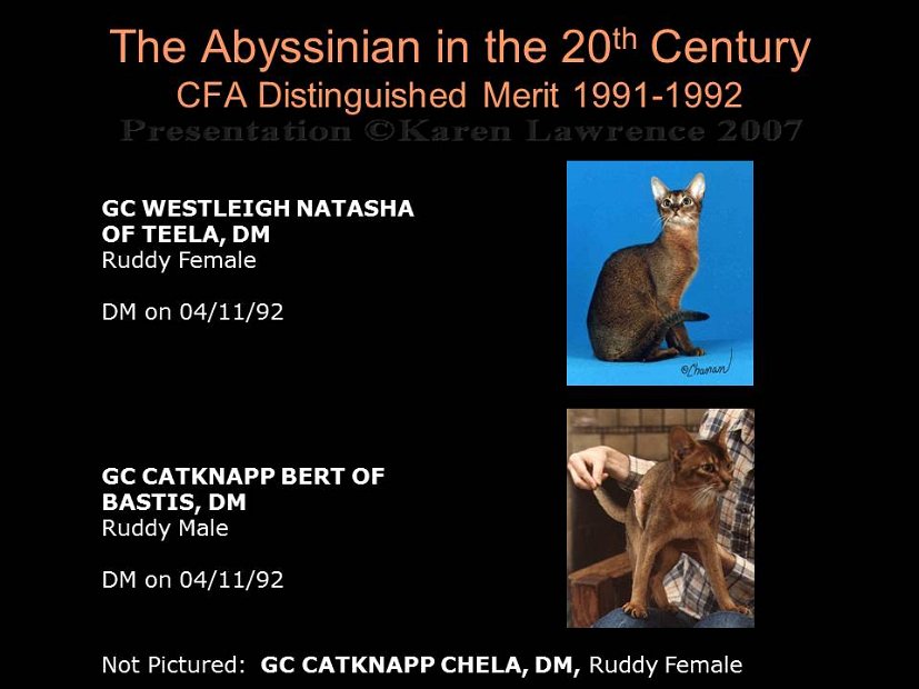 Slide362