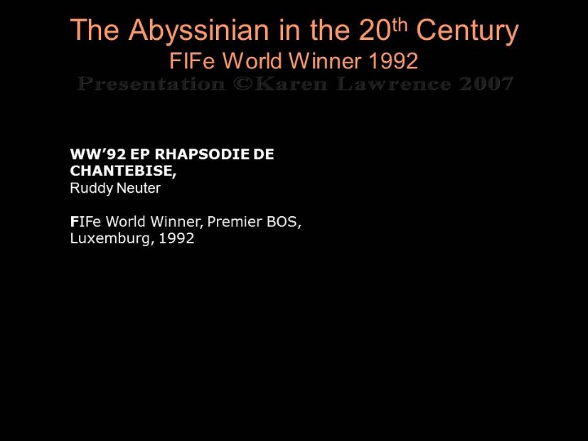 Slide366
