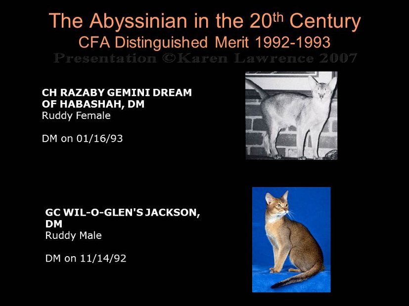 Slide370