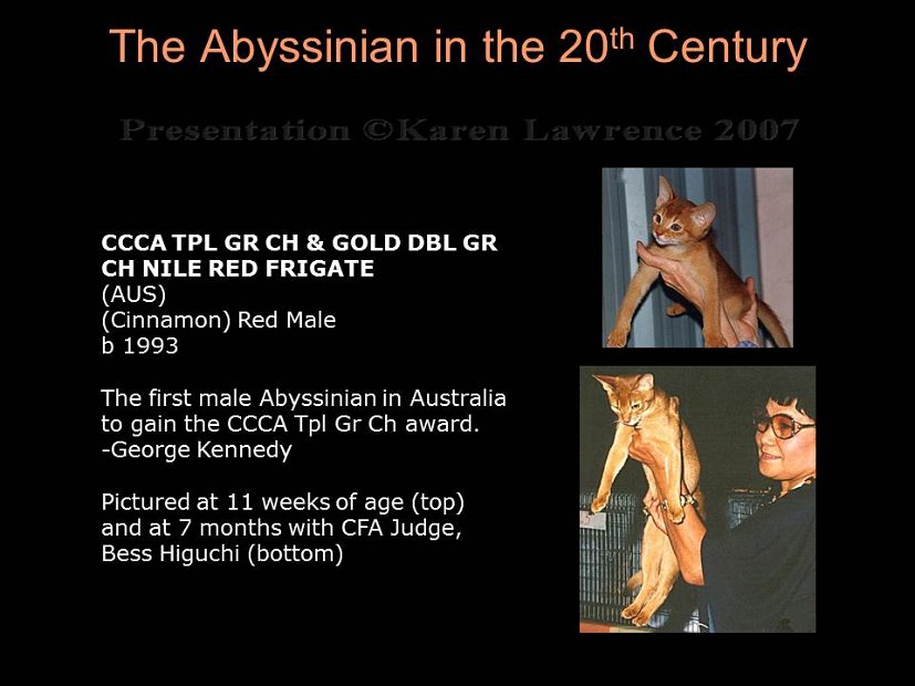 Slide375