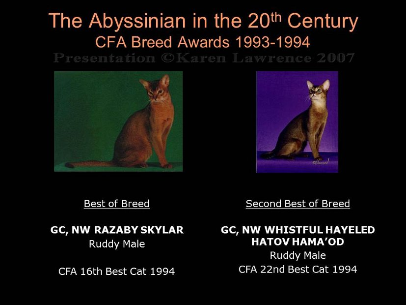 Slide377