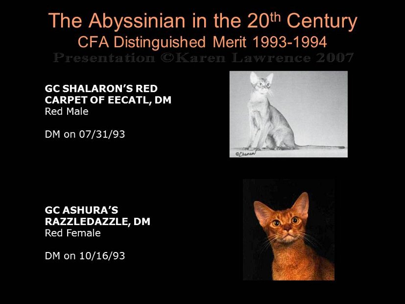 Slide378