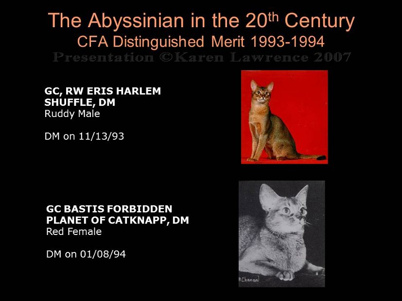 Slide379