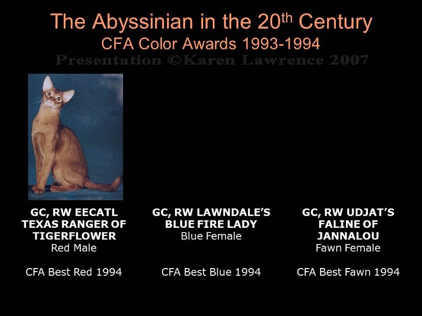 Slide382