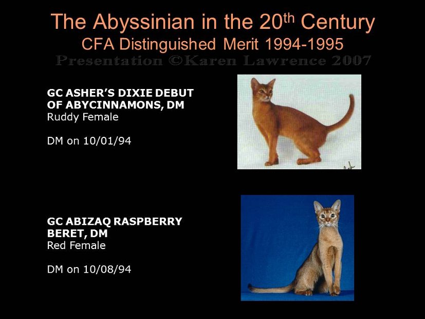 Slide387