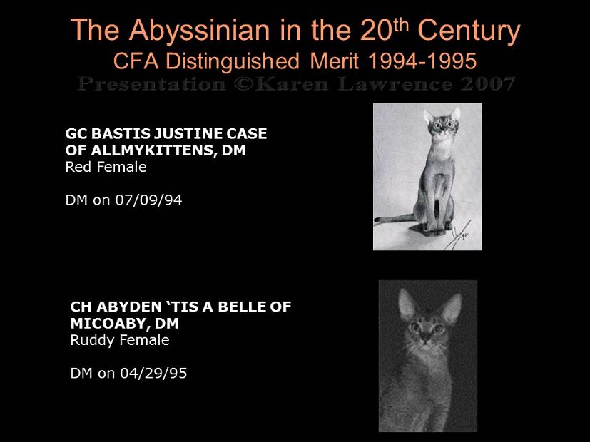Slide388