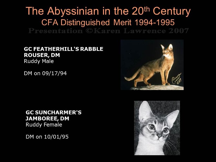 Slide389