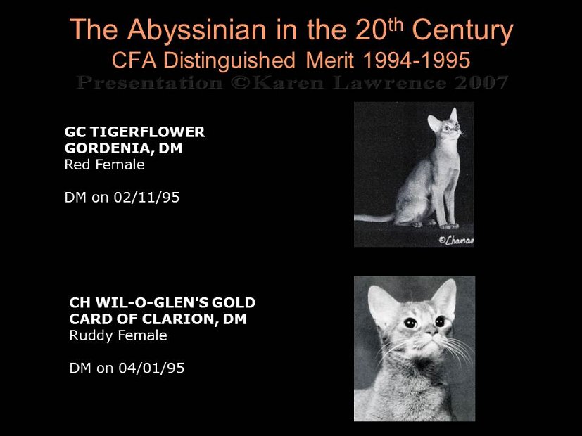 Slide390