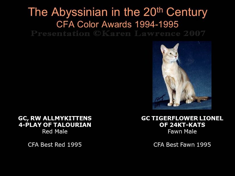 Slide391
