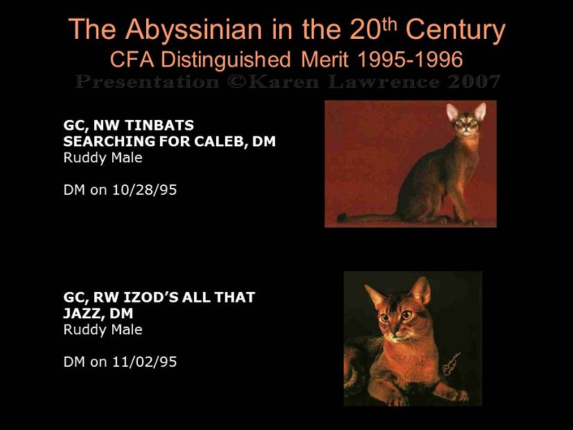 Slide395
