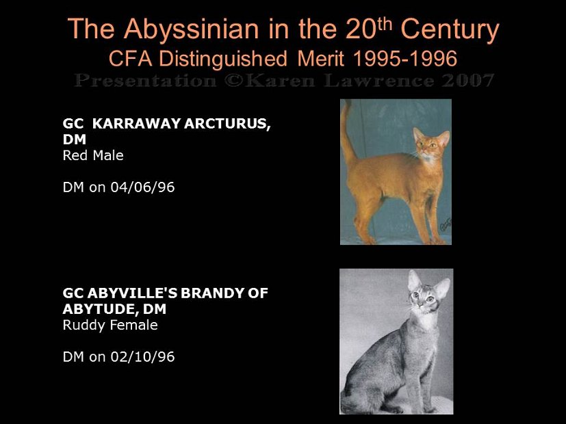 Slide397