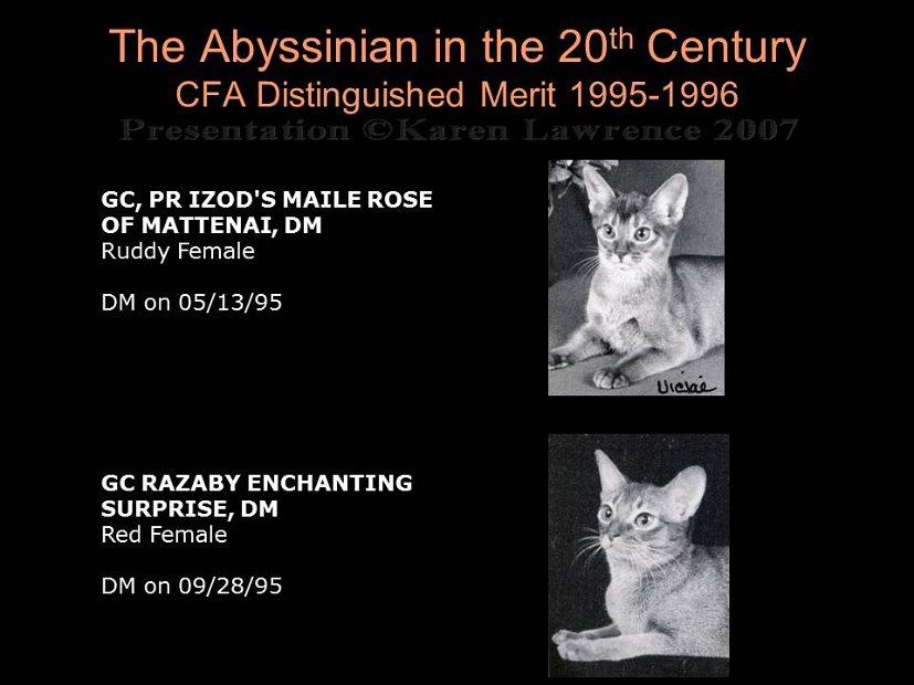 Slide398
