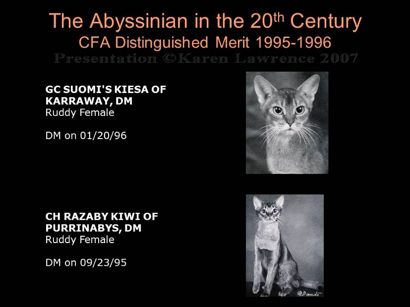 Slide399