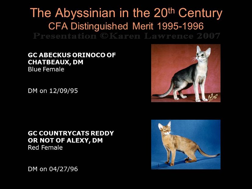 Slide401