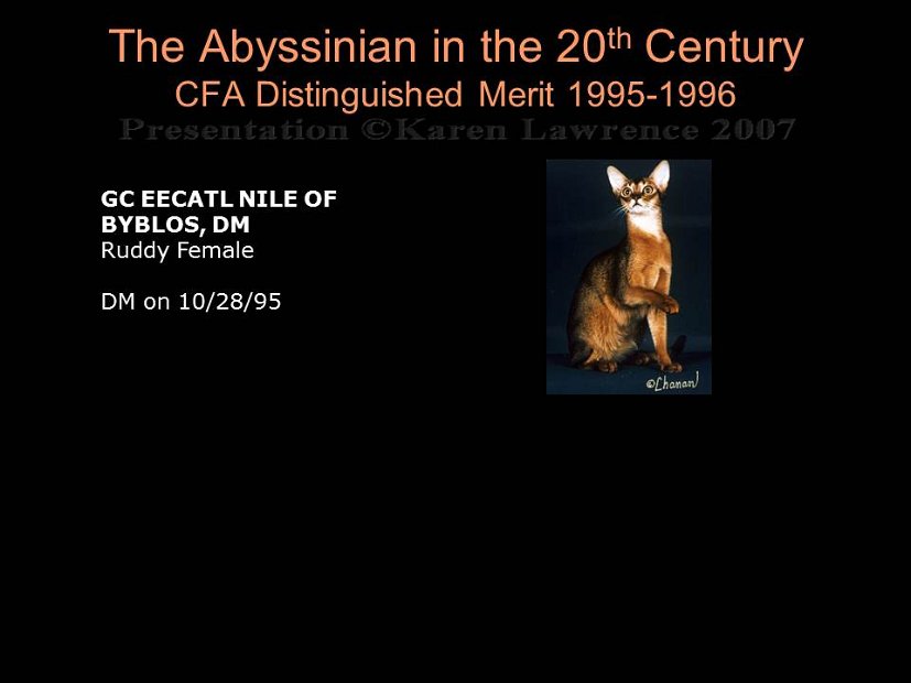 Slide402