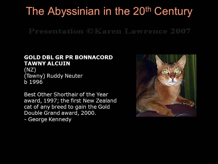 Slide406
