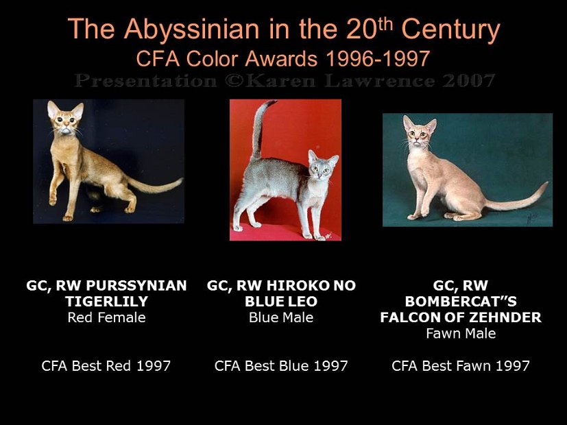 Slide415