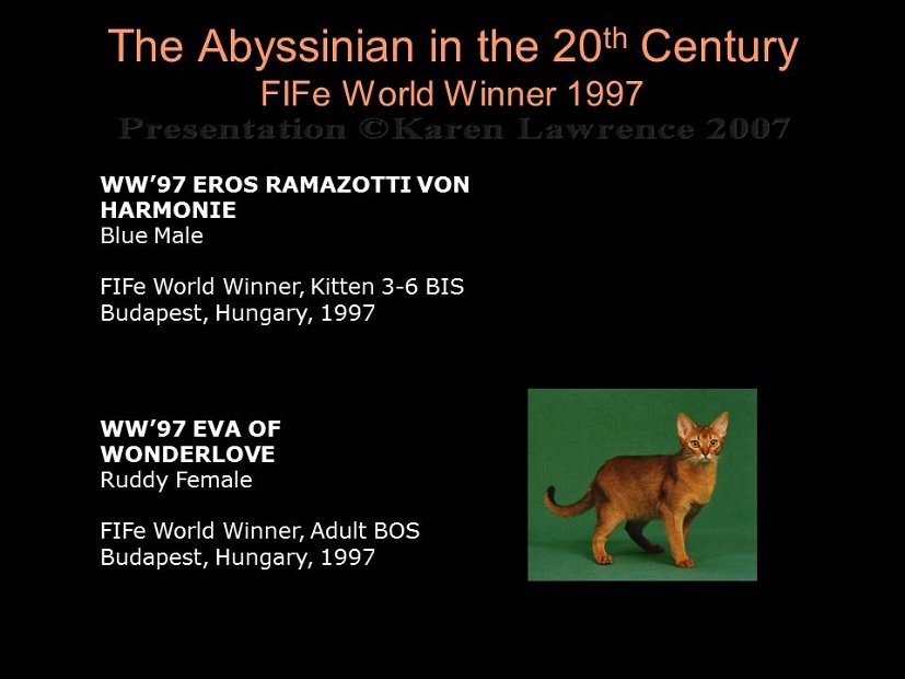 Slide416