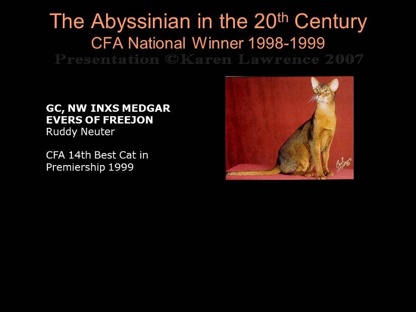 Slide437