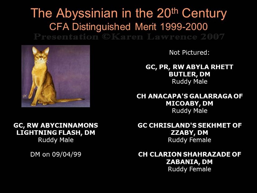 Slide445