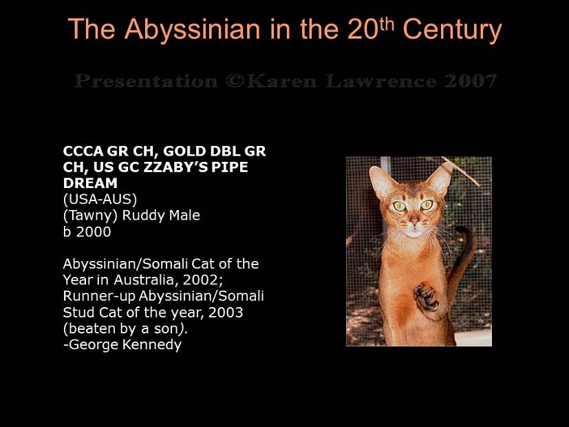 Slide452