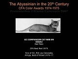 Slide228.JPG