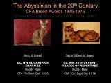 Slide233.JPG