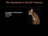 Slide239.JPG