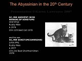 Slide243.JPG