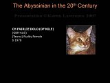 Slide251.JPG