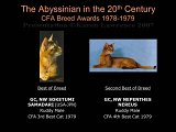 Slide254.JPG