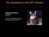 Slide258.JPG